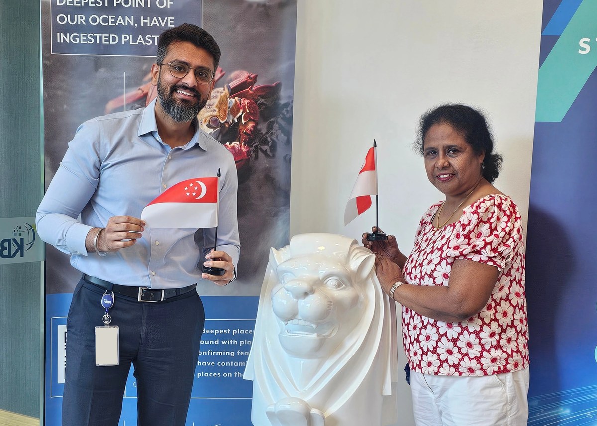 KBR colleagues celebrating Singapore National Day in the office